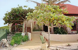 Kontiki Beach Club